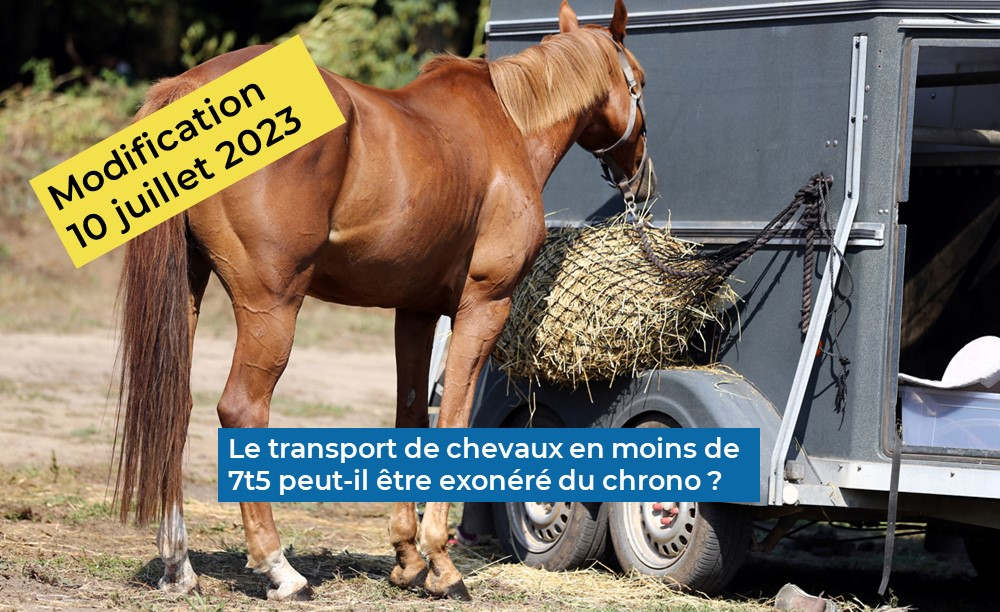 Transport de chevaux en 7t5